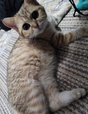 Прикрепленное изображение: IMG_20210306_134625.jpg